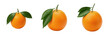 © new - Fresh Whole Orange Fruit with Green Leaves Collection Isolated PNG Clipart, Sweet Juicy Citrus Mandarins Tangerines Pack, Organic Vitamin C Food Graphic Elements for Juice Packaging Design Transparent