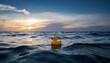 © Richard - rubber duck alone in vast ocean at dusk