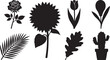 © Muneeb - Collection of Silhouette Botanical Icons Featuring Flowers, Leaves, and Cacti for Design and Decoration