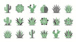 © leo - Collection of various green cactus and succulent plants.