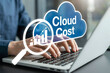 © Background - Professional worker monitoring digital expenses of cloud infrastructure project.