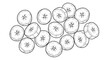 © Hasibul - Collection of numerous banana slices, each depicted with clean line art, arranged in an appealing, scattered composition.