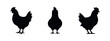 © Lili - Chicken Hen Silhouettes Set. Farm Bird Vector Icons.