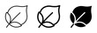 © Ahmed - Leaf Icons Set: Simple Outline, Bold Line, Solid Fill Vector Graphics for Nature and Ecology