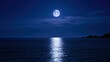 © Amanda - Bright full moon over the calm ocean with reflections in the water during a clear night
