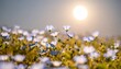 © benidama - 月明かりに照らされた幻想的な青い花畑と舞い散る花弁の風景