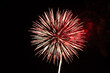 © Mila - fireworks in the sky