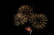 © Mila - fireworks in the night