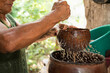 © Shava Cueva/Stocksy - Close up of cacao drink preparation with flowing ingredients