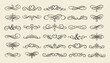 © bow - Ornate vintage frames and scroll elements. Classic calligraphy swirls, swashes, floral motifs