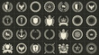 © Ayong - Large Collection of Vintage Heraldic Emblems and Badges Featuring Shields, Crowns, Laurel Wreaths, Anchors, Stars, and Eagles for Premium Corporate Branding and Classic Logo Design Templates.