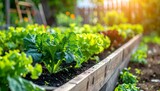 Lush green plants growing in garden bed.