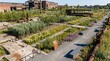 © Alexandr - Phytoremediation masterplan view for postindustrial park with European flora