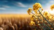© Larisa AI - This stunning image captures vivid yellow flowers standing tall against a backdrop of a golden wheat field under a bright blue sky, evoking feelings of warmth and tranquility.