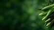 © Larisa AI - A close-up of green buds poised for blooming, accentuating freshness and vitality, set against a soft, blurred green background that enhances their natural beauty.