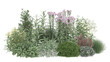 © MdImdadul - Assortment of garden plants with purple flowers and green shrubs isolated on white background for landscape design architecture rendering