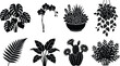© Manik - Botanical vector set of black houseplant silhouettes featuring monstera orchid cactus succulents and various indoor greenery