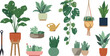 © MdArif - Indoor houseplants vector collection with potted tropical greenery macrame hanger and watering can elements