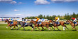 © Jag_cz - Exciting horse race with jockeys competing at full speed on a racetrack. Dynamic sports action captured with motion blur, showcasing strength, speed, competition and equestrian performance.