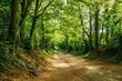 © Maciej Olszewski - The Windmill Trail, Halnaker Hill , Boxgrove Village, West Sussex, England