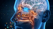 © Brata - 3D medical illustration of the human olfactory system showing the nasal cavity, olfactory bulb, and brain processing scent particles through receptors.