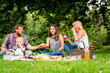 © Rawpixel.com - Family enjoying a picnic in a park with food and drinks on a blanket.