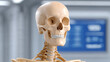 © Utis - A detailed view of a human skeleton model, showcasing the intricate structure and elements of human anatomy in a clinical setting.