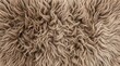 © AFFANYUDA - Closeup of a luxurious brown sheepskin rug with soft curly texture.