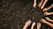 © Pink Zebra - Diverse hands planting seeds together in fertile soil, collaborative community gardening project for environmental sustainability, agricultural teamwork and cooperative growth