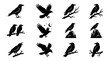 © Muttaqin - Black crow and raven silhouette icons set with birds flying and perched on branches
