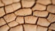 © phetsavun - Detailed shot of cracked wood texture natural environment close composition high resolution focus