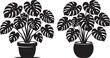 © Md - Monstera houseplant in pot silhouette icon with monstera houseplant silhouette background botanical tropical gardening greenery