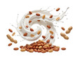 © Lana - Dynamic peanut swirl in fresh milk splash with heap of nuts.