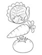 © MdEanur - Fresh organic vegetables including cabbage carrot and tomato in hand drawn sketch style.