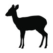 © mia - Black silhouette profile of a standing deer or antelope with antelope, wildlife