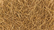 © Lutfi - Dry golden brown grass field texture with natural straw tones.