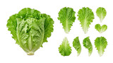 160_f_2057095527_yevrwzuv8dywce9b9ed5vyc3h7bawxxz