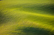 © Cavan Images - Sunlight and shadows on rolling green grass field and meadow