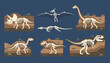 © Tarek - Prehistoric dinosaur skeleton fossils collection displayed on a dark background as museum exhibits.