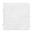 © MstNazmun - Single sheet of lined notebook paper with torn spiral edge