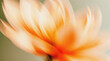 © Nastassia - Abstract floral motion blur featuring soft orange and white petals against a blurred background, creating a sense of fluidity and elegance in a natural setting