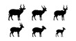 © sarmin - Antelope silhouette icon set, white background, vector Illustration