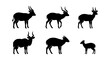 © sarmin - Antelope silhouette icon set, white background, vector Illustration
