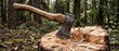 © Emanuel - Axe on chopped wood in forest rustic woodworking concept