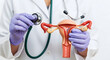 © NUR - Doctor in purple gloves holds anatomical model of female reproductive system and stethoscope