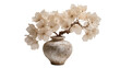 © Maria - Dried hydrangea flowers in a rustic ceramic vase, isolated on transparent background