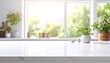 © Andi - Bright Kitchen Countertop with Plants and Window View.