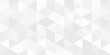 © Ida - Gray White Polygon Mosaic Background, business and corporate background.