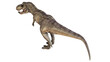 © Ilie - Realistic Tyrannosaurus Rex on white background