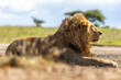 © Cavan Images - A King Beneath African Skies